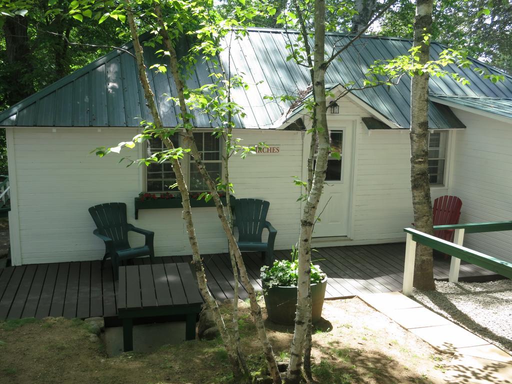 Birch Cliff Lodge On Baptiste Lake Highland Grove Ruang foto