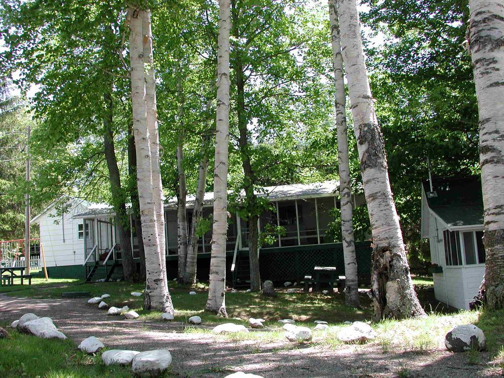 Birch Cliff Lodge On Baptiste Lake Highland Grove Ruang foto